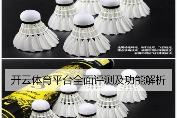 开云体育平台全面评测及功能解析